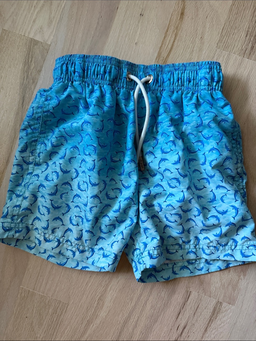 Men's Light Blue Athletic Swim Shorts with Dolphin Print
